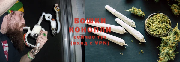 сатива Белокуриха