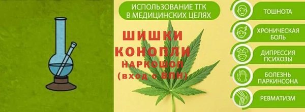 сатива Белокуриха