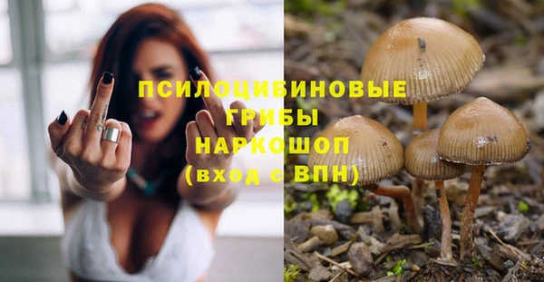 сатива Белокуриха